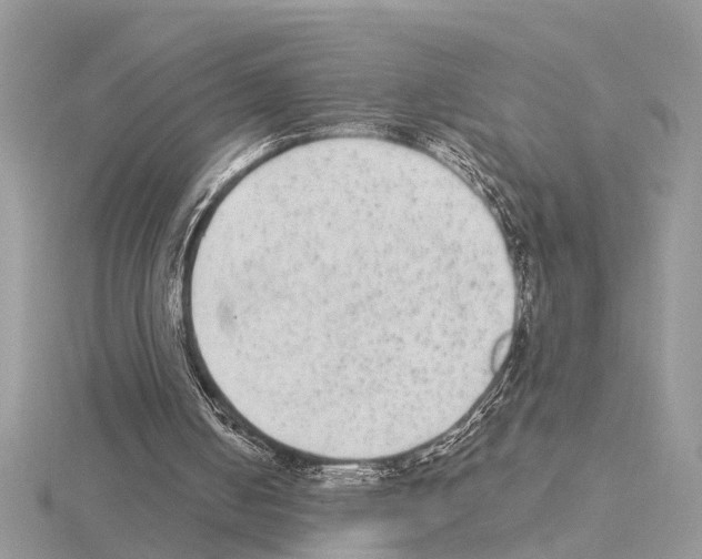 X0000115040050200912071118