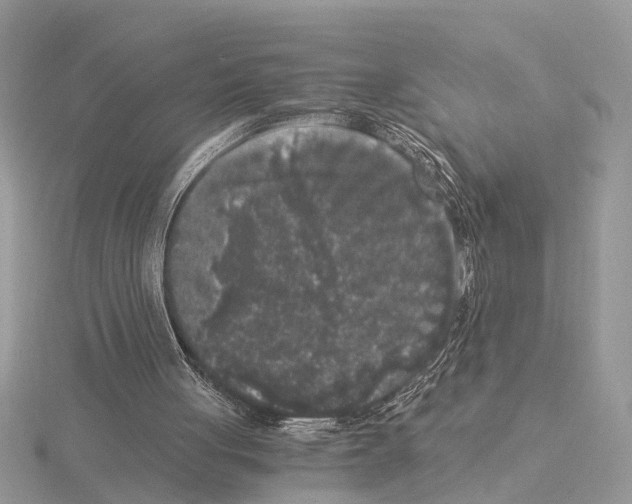 X0000115040051200912071118