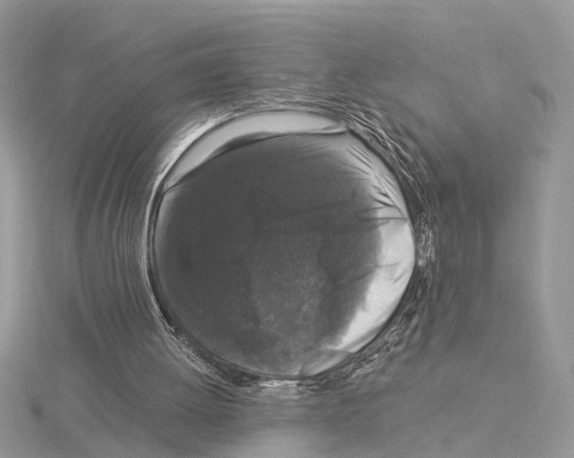 X0000115040052200912071118