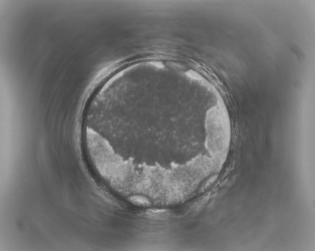 X0000115040055200912071118