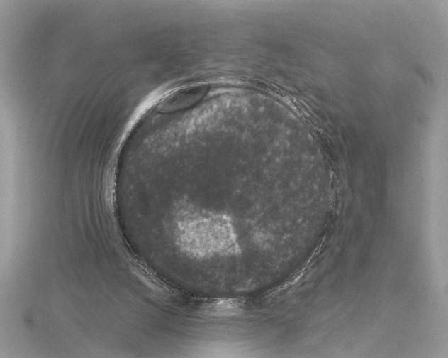 X0000115040056200912071118