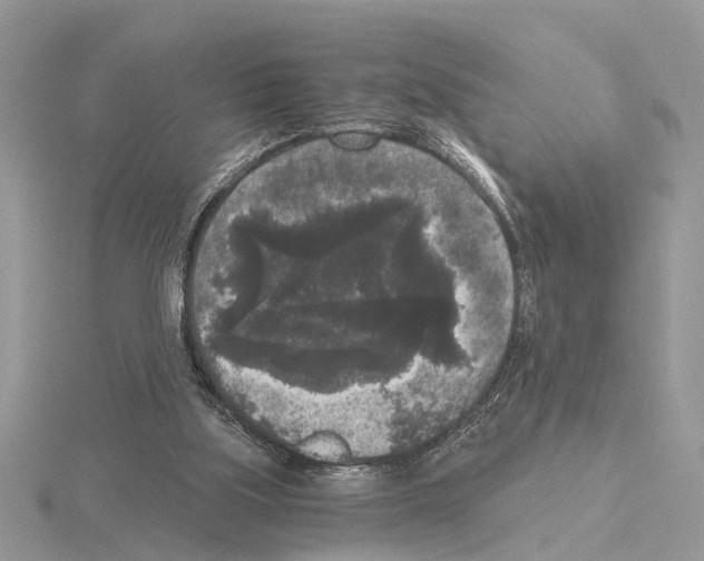 X0000115040059200912071118