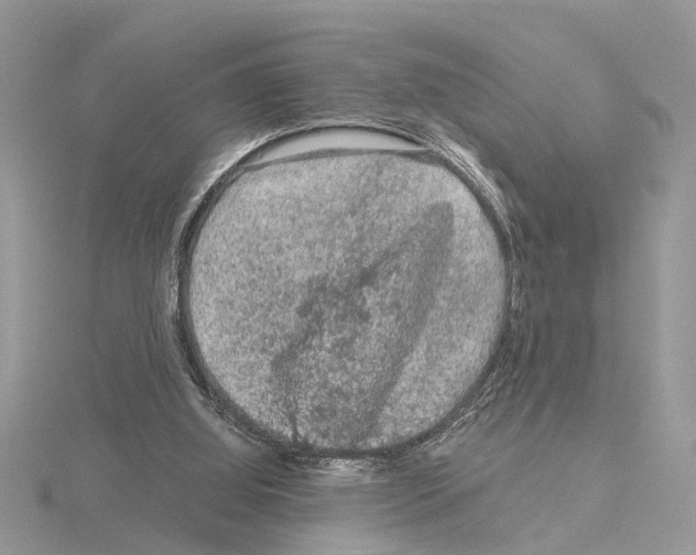 X0000115040060200912071118