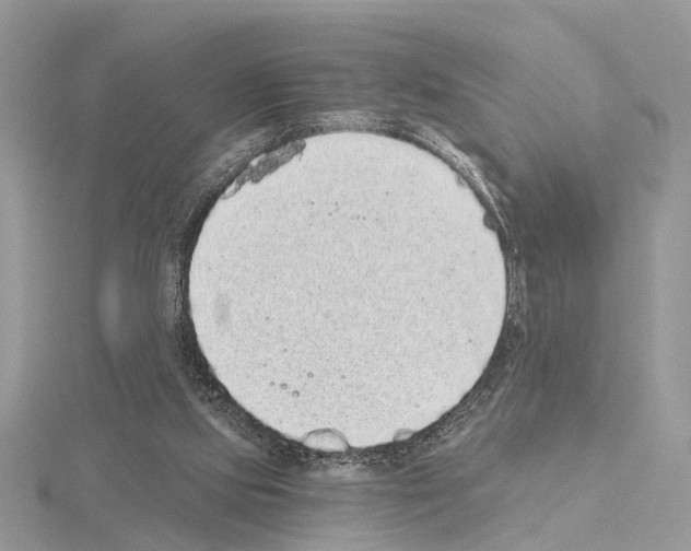 X0000115040061200912071118