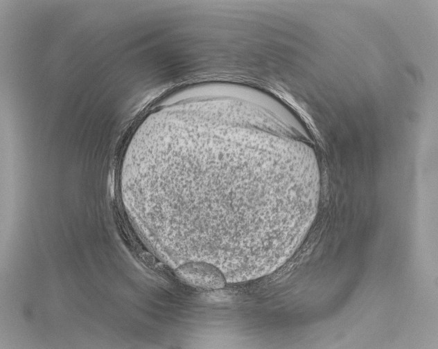 X0000115040062200912071118