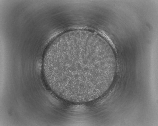 X0000115040063200912071118