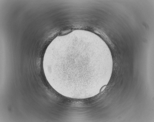 X0000115040066200912071118