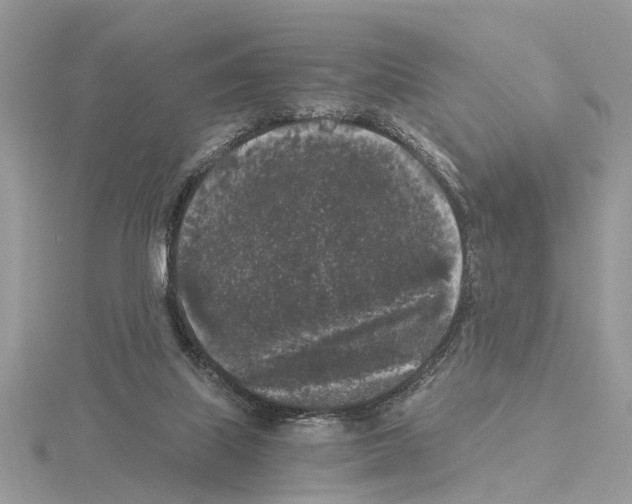 X0000115040067200912071118