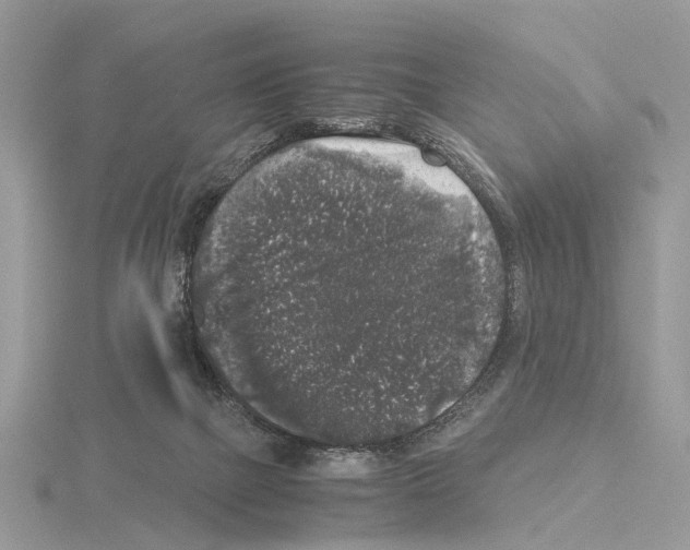 X0000115040073200912071118