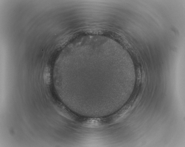 X0000115040080200912071118