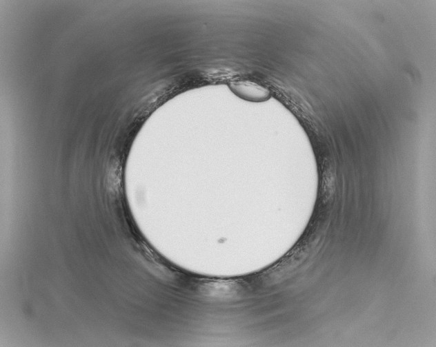 X0000115040081200912071118