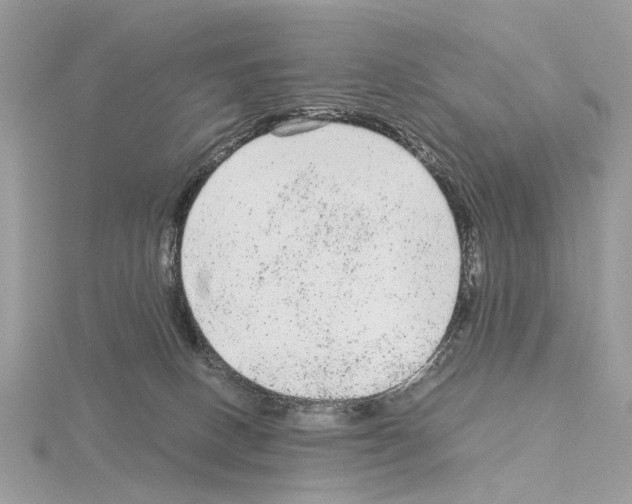 X0000115040082200912071118