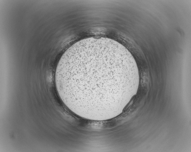 X0000115040084200912071118