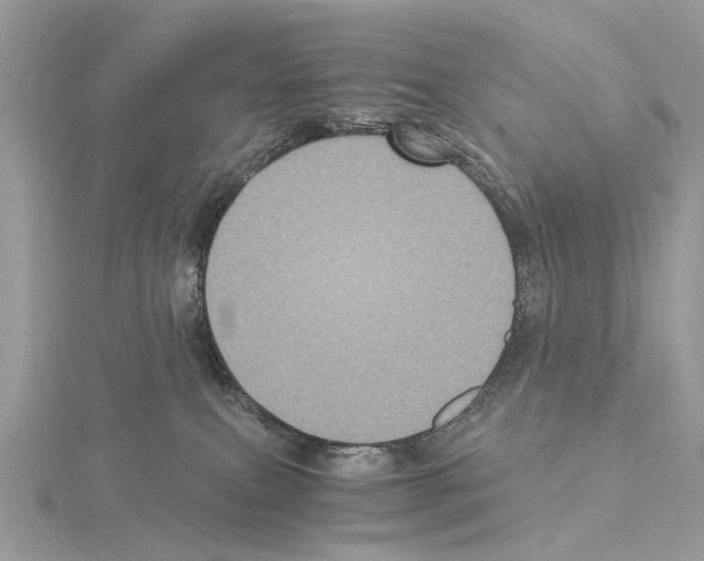 X0000115040087200912071118