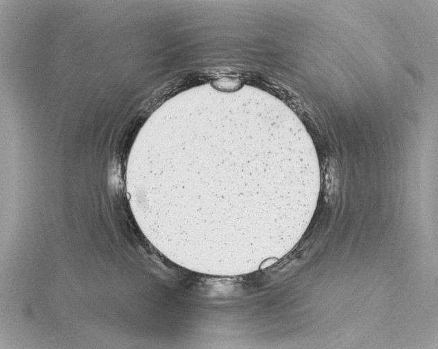 X0000115040089200912071118