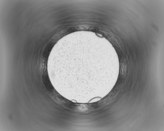 X0000115040091200912071118