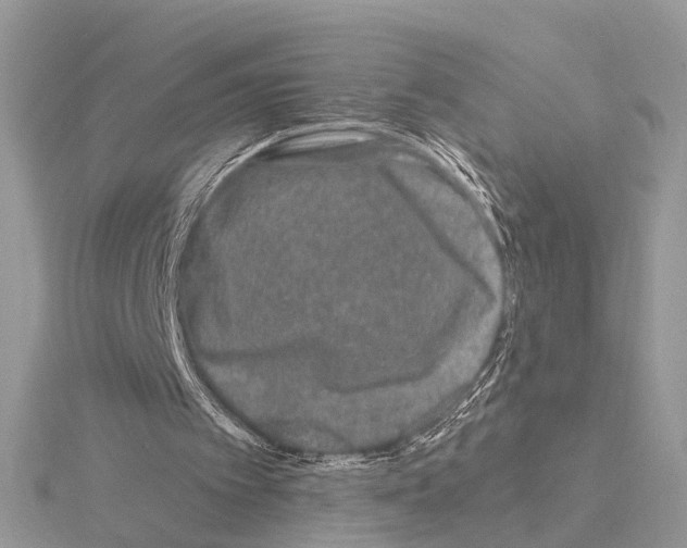 X0000115040097200912071118