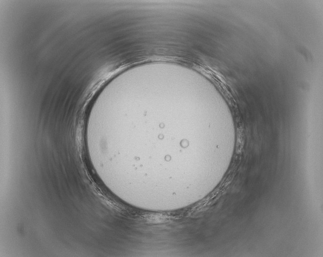 X0000115040098200912071118