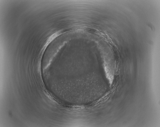 X0000115040099200912071118