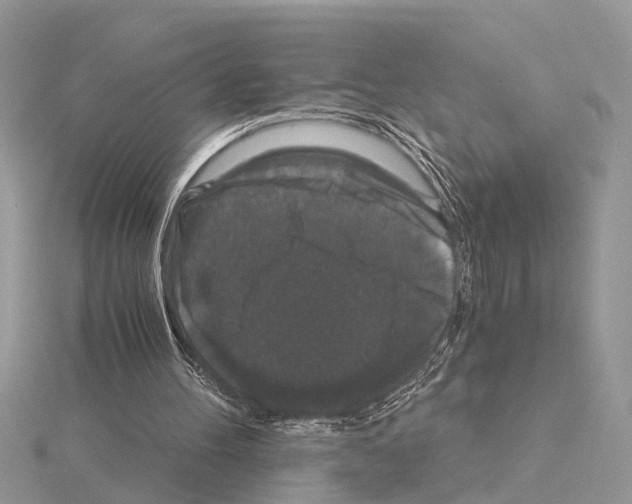 X0000115040100200912071118