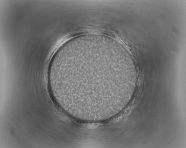 X0000115040103200912071118