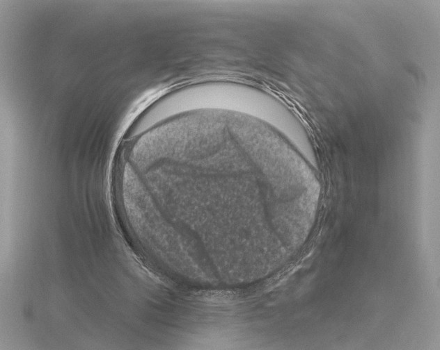 X0000115040104200912071118