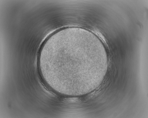 X0000115040108200912071118