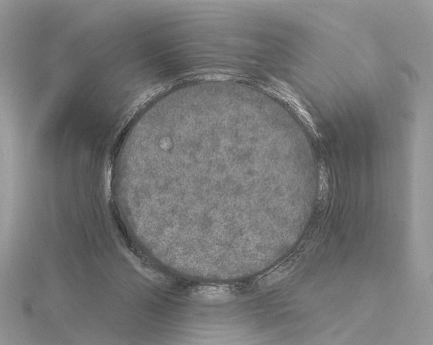 X0000115040110200912071118