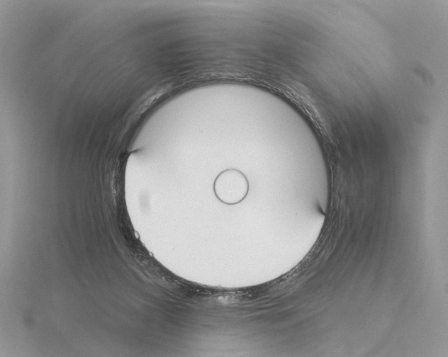 X0000115040116200912071118