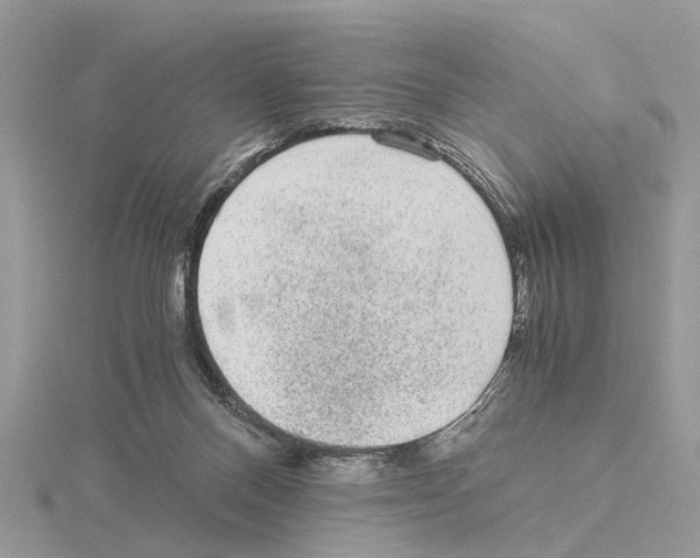 X0000115040120200912071118