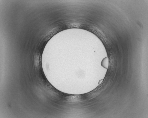 X0000115040122200912071117