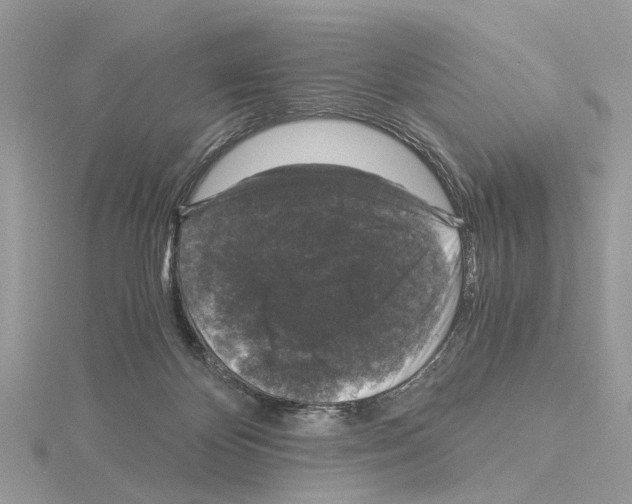 X0000115040124200912071117