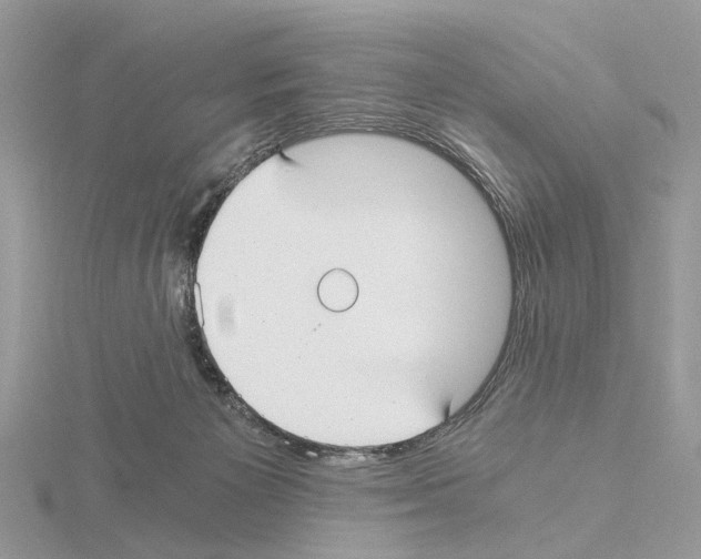 X0000115040125200912071117