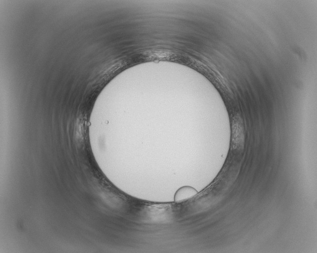 X0000115040126200912071117