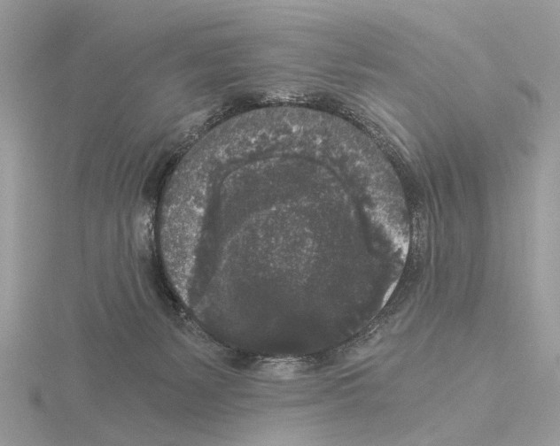 X0000115040127200912071117