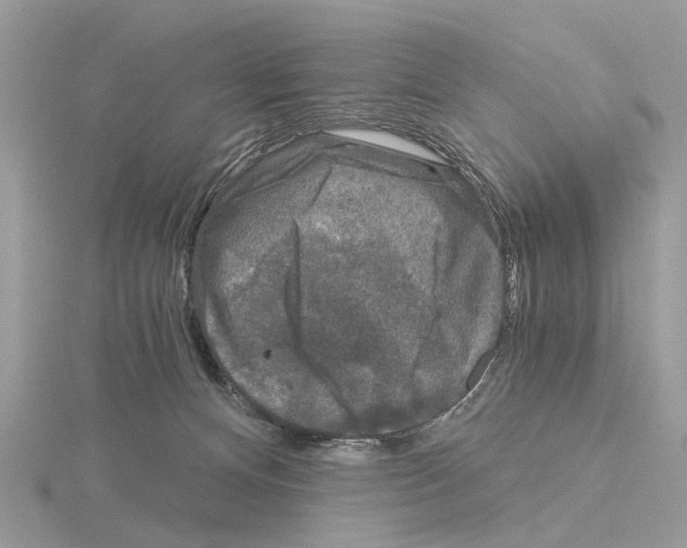 X0000115040128200912071117