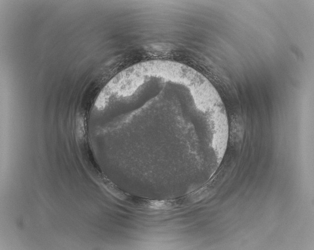 X0000115040130200912071117