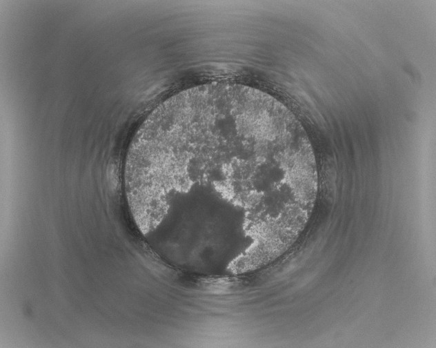 X0000115040131200912071117