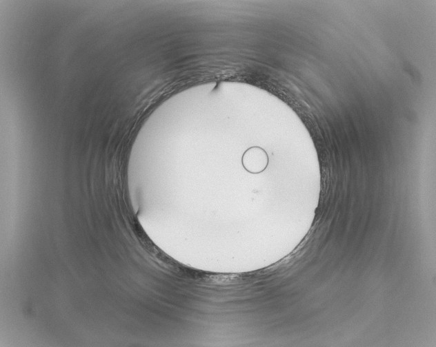 X0000115040136200912071117