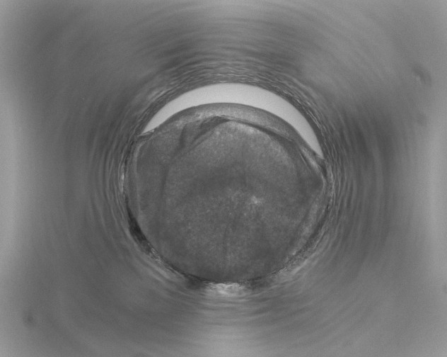 X0000115040137200912071117