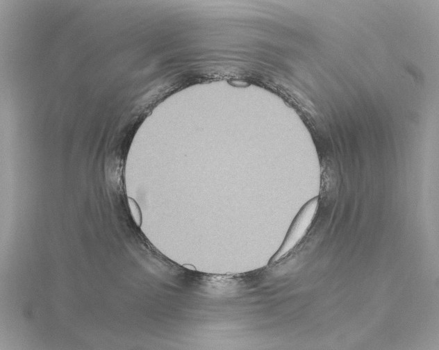 X0000115040141200912071117