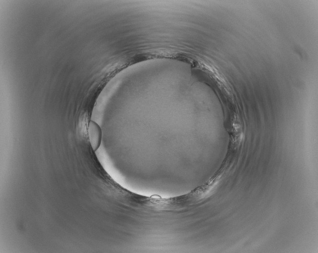 X0000115040143200912071117