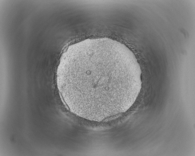 X0000115040144200912071117