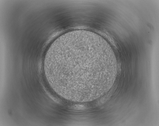 X0000115040159200912071117