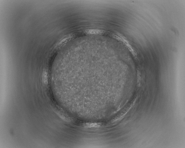 X0000115040161200912071117