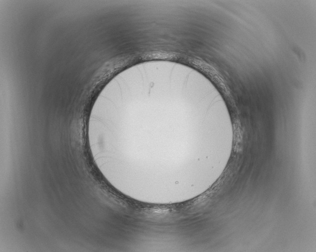 X0000115040162200912071117