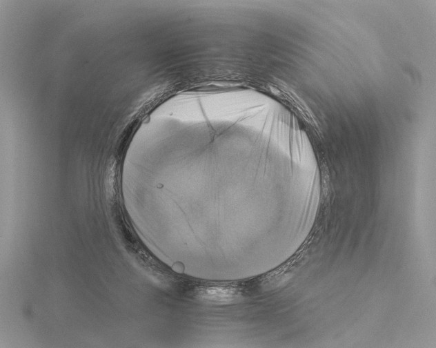 X0000115040163200912071117