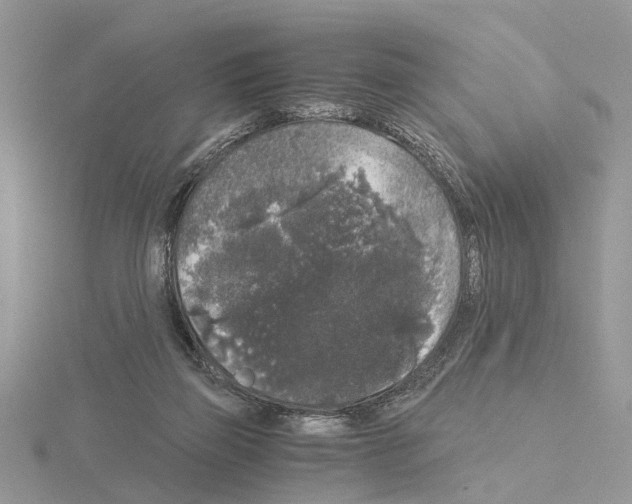 X0000115040165200912071117