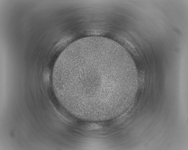 X0000115040166200912071117