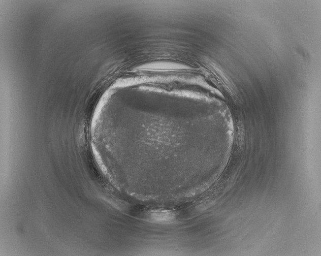 X0000115040169200912071117